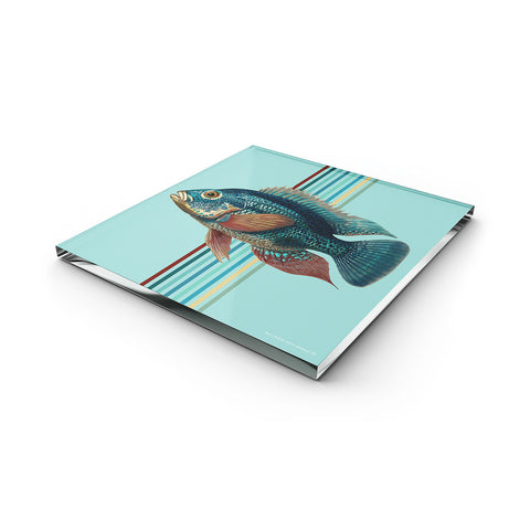 Glass Trivet Claire