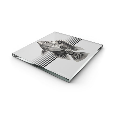 Glass Trivet Casper