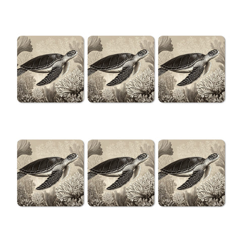 Turtle Untersetzer-Set