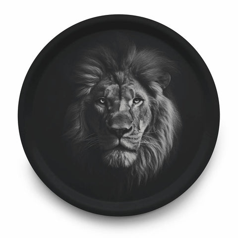 Plateau Lion