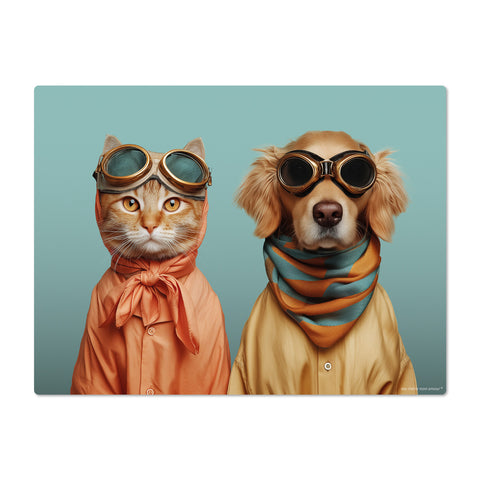 Cat and dog wearing goggles and scarves on a teal background