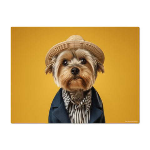 Dog wearing a hat and coat on a mustard yellow background