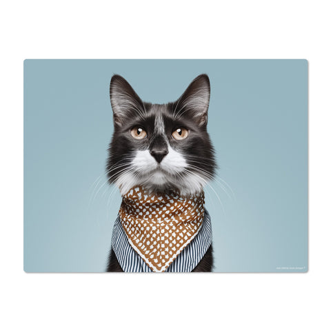 Cat wearing a patterned bandana on a light blue background