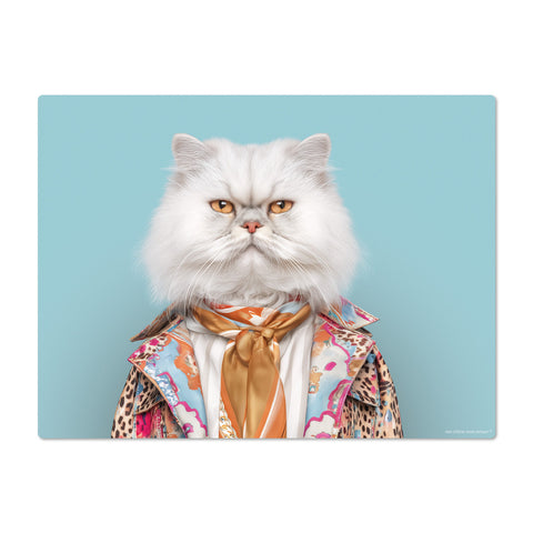 Cat wearing a colorful outfit with a patterned jacket and scarf on a light blue background