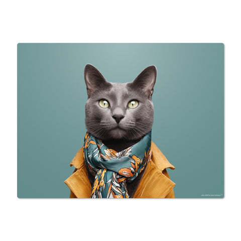 Gray cat wearing a patterned scarf and yellow jacket on a teal background
