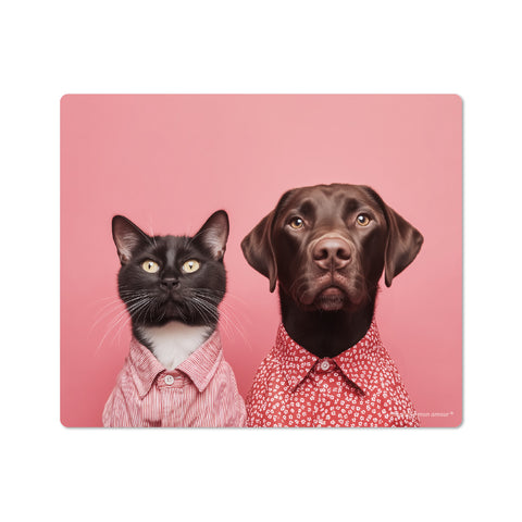 Cat and dog wearing red shirts on a pink background