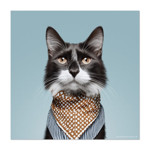 Cat wearing a patterned scarf on a light blue background
