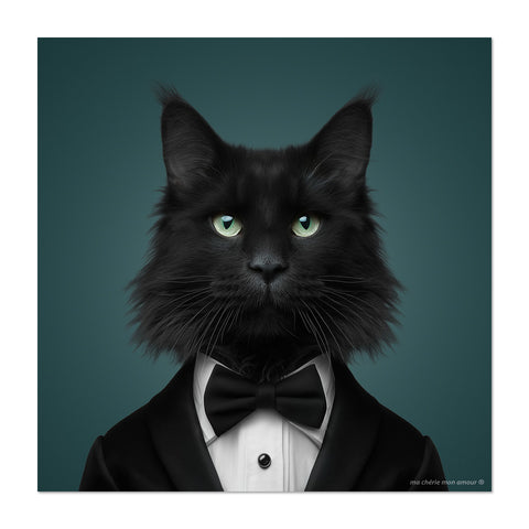 Black cat in a tuxedo against a teal background
