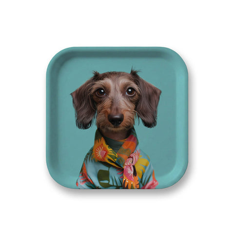 Plateau Alfie