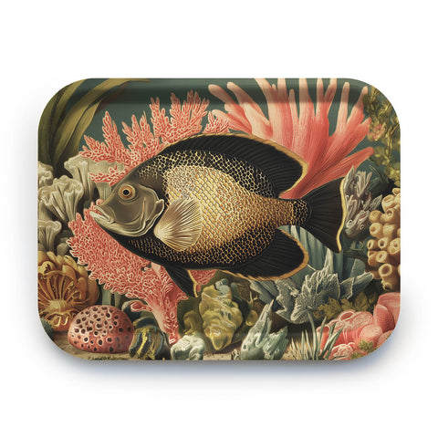 Tray Angel Fish