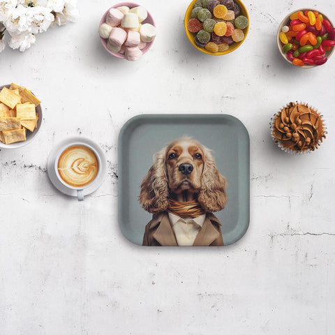 Dogs – Trays