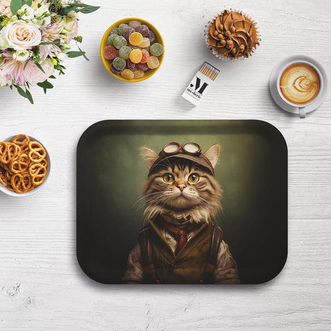 Cats – Trays