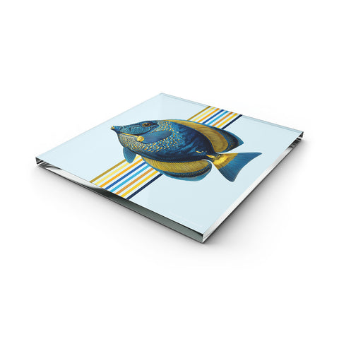 Glass Trivet Rainbow