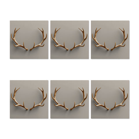 Natural Coasters Set