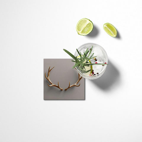 Natural Coasters Set