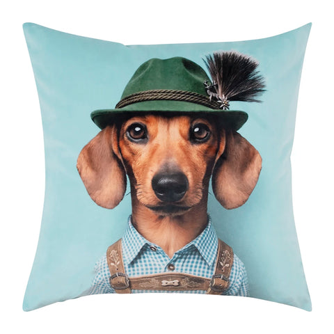 Cushion Balu