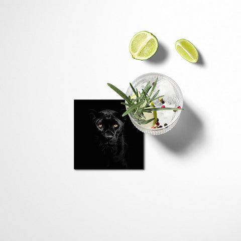 Panther Coasters Set