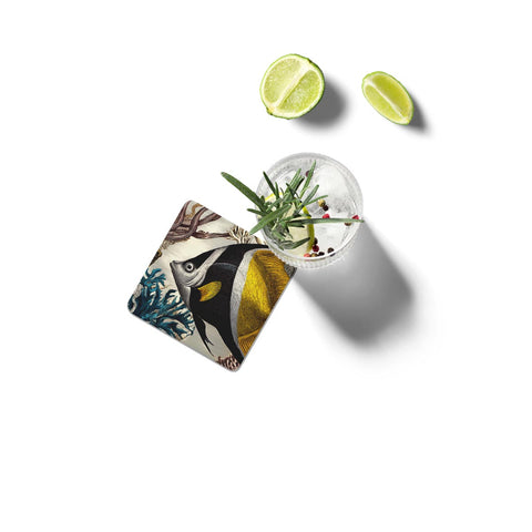 Butterfly Fish Coasters Set