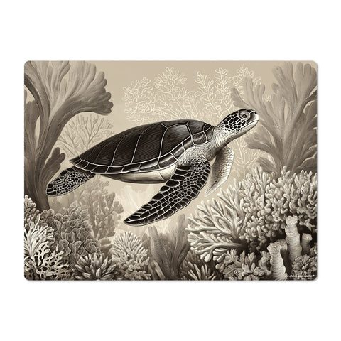 Placemat Turtle