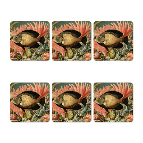 Angel Fish Coasters Set