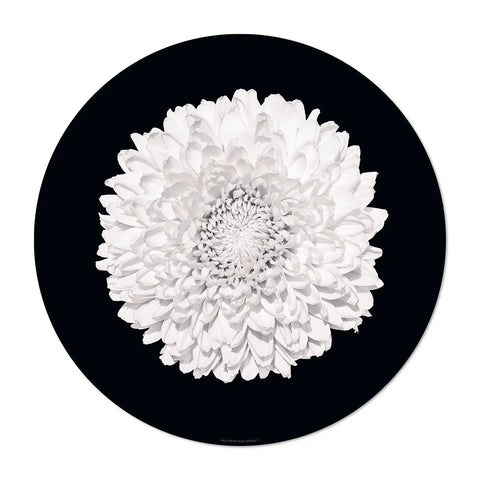 The flower power design patterns on this round black placemat is vibrant and eye-catching. The intricate floral pattern Camelia in white shade colors will instantly brighten up your dining table and become a focal point on your table. Dine in style with our others white floral patterns and mix them for a Wow effect!