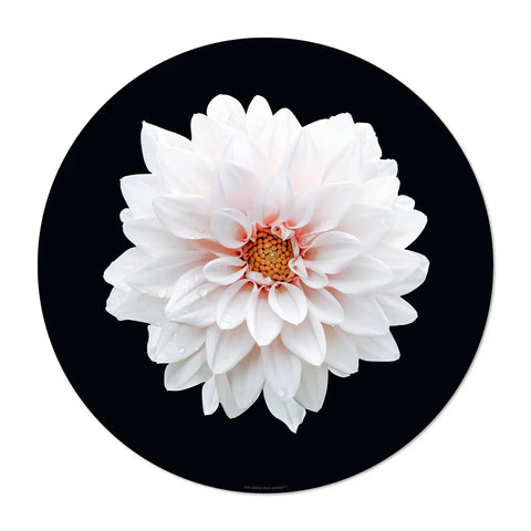 The flower power design patterns on this round black placemat is vibrant and eye-catching. The intricate floral pattern Flora in white shade colors will instantly brighten up your dining table and become a focal point on your table. Dine in style with our others white floral patterns and mix them for a Wow effect!