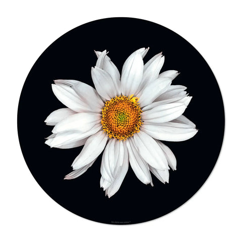 The flower power design patterns on this round black placemat is vibrant and eye-catching. The intricate floral pattern Marguerite in white shade colors will instantly brighten up your dining table and become a focal point on your table. Dine in style with our others white floral patterns and mix them for a Wow effect!