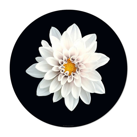 The flower power design patterns on this round black placemat is vibrant and eye-catching. The intricate floral pattern Peony in white shade colors will instantly brighten up your dining table and become a focal point on your table. Dine in style with our others white floral patterns and mix them for a Wow effect!