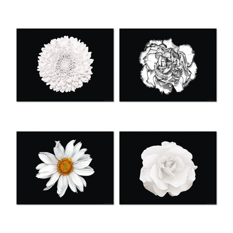 The flower power design patterns on these rectangular black placemats set with 4 designs is vibrant and eye-catching. The intricate floral patterns Flora, Rose, Marguerite and Peony in white shade colors will instantly brighten up your dining table and become a focal point on your table. Dine in style with our others white floral patterns and mix them for a Wow effect!