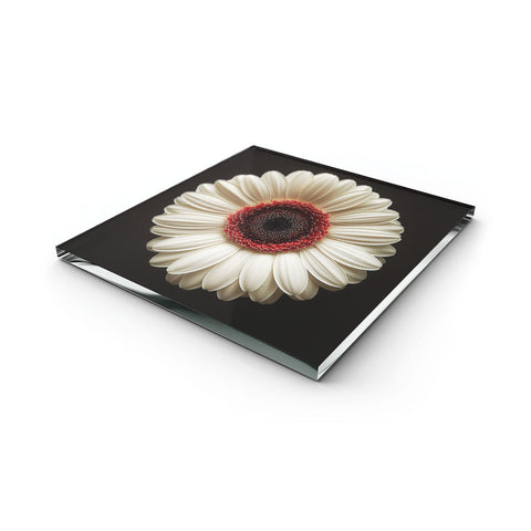 Glass Coaster Daphné