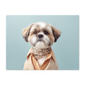 Dog wearing a scarf and shirt against a light blue background