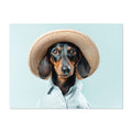 Dachshund wearing a straw hat and striped shirt on a light blue background