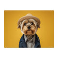 Dog wearing a hat and coat on a mustard yellow background