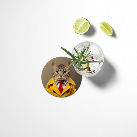 Funny Cats Coasters Set - II