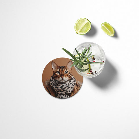 Funny Cats Coasters Set - II