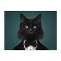 Black cat wearing a tuxedo against a dark green background