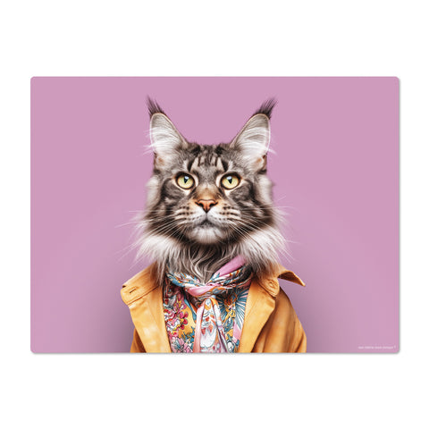 Cat wearing a yellow coat and colorful scarf on a pink background