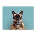 Cat wearing a patterned shirt on a blue background