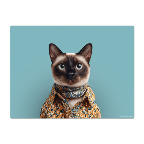 Cat wearing a patterned shirt on a blue background