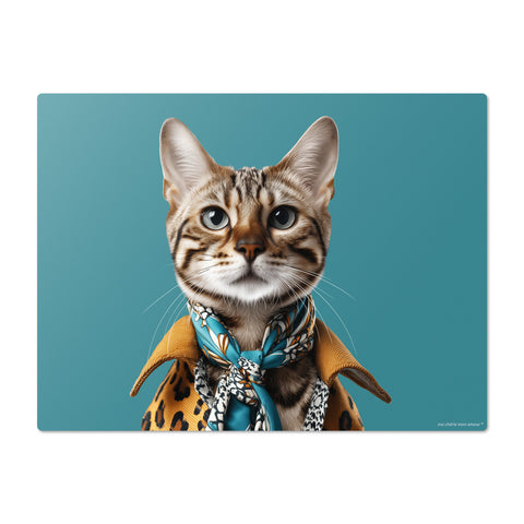 Cat wearing a coat and scarf on a teal background