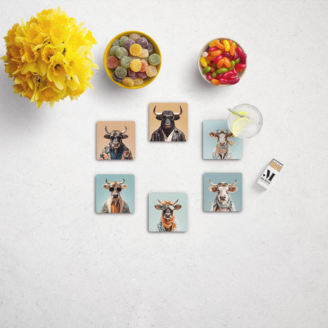 Funny Cows Coasters Set
