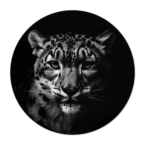 Our collection of black round vinyl placemats inspired by the majesty of wild felines: the Snow Leopard. Each placemat in this collection showcases the incredible head of a wild feline, capturing the essence of these magnificent creatures. Made in Germany with premium vinyl quality, these elegant animal-inspired placemats transform your dining into a wild adventure. These designs will have you roaring with delight!