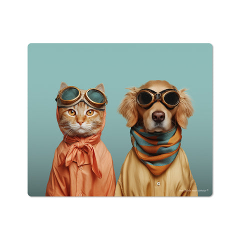 Cat and dog wearing goggles and scarves on a teal background