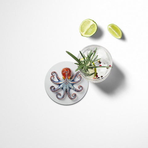 Octopus Coasters Set