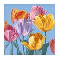 Colorful tulips on a blue background