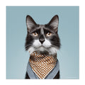 Cat wearing a patterned scarf on a light blue background