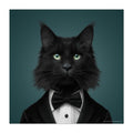 Black cat in a tuxedo against a teal background