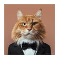 Cat wearing a black suit with a bow tie on a brown background