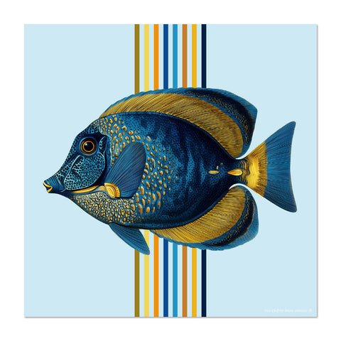 Glass Trivet Rainbow